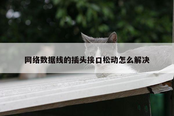 凯发k8官网入口|网络数据线的插头接口松动怎么解决