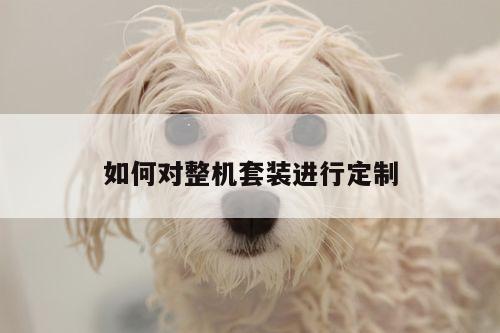 如何对整机套装进行定制:凯发k8官网入口