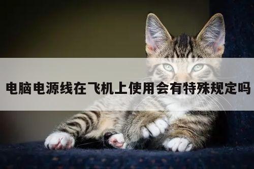 电脑电源线在飞机上使用会有特殊规定吗-凯发k8官网入口