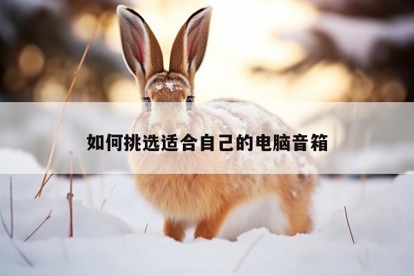 凯发k8官方|如何挑选适合自己的电脑音箱