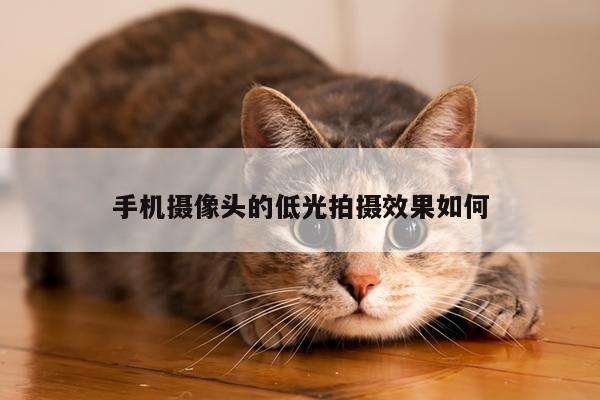 手机摄像头的低光拍摄效果如何|凯发k8官网入口