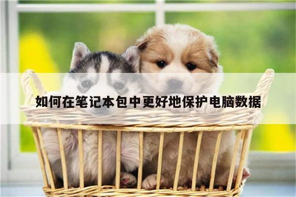 凯发网站_如何在笔记本包中更好地保护电脑数据