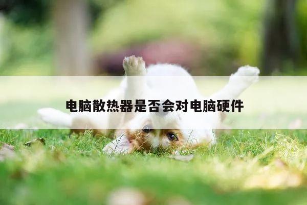 凯发网站:电脑散热器是否会对电脑硬件