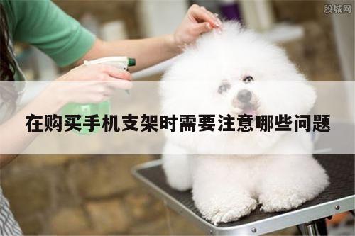在购买手机支架时需要注意哪些问题_凯发k8官方