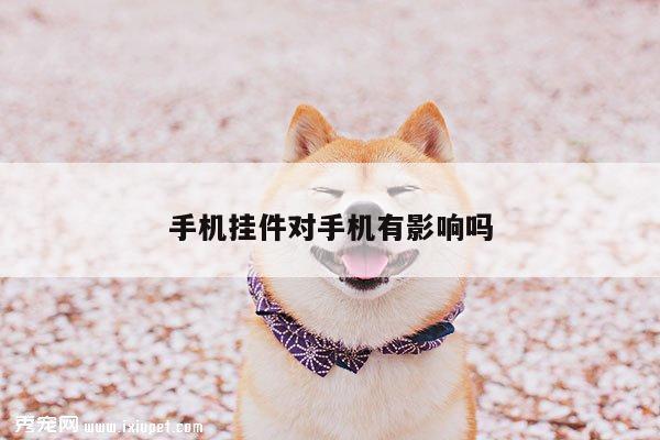 凯发k8官方:手机挂件对手机有影响吗