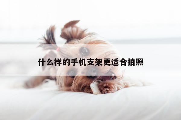 【凯发k8官网入口】什么样的手机支架更适合拍照