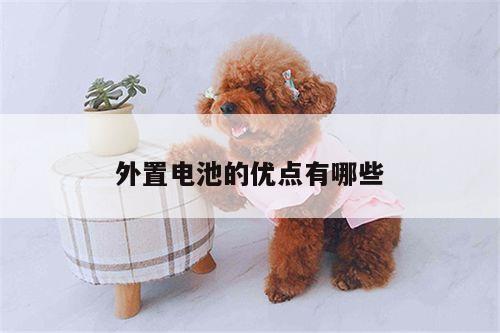 外置电池的优点有哪些_凯发k8官方