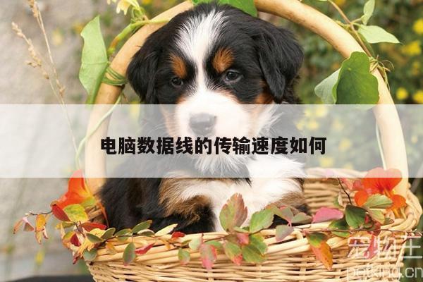 电脑数据线的传输速度如何-凯发网站