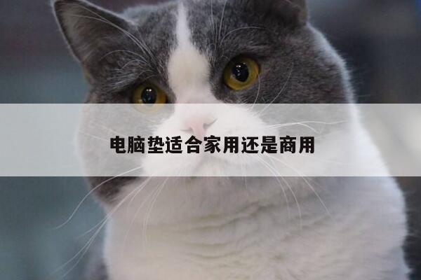 电脑垫适合家用还是商用【凯发k8官方】