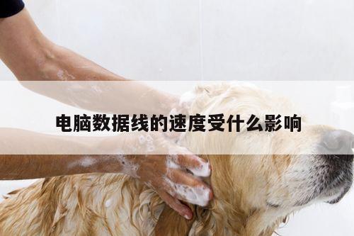 电脑数据线的速度受什么影响:凯发网站