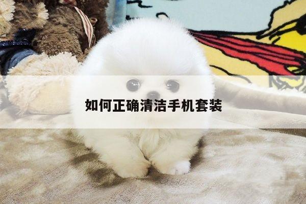 凯发网站-如何正确清洁手机套装