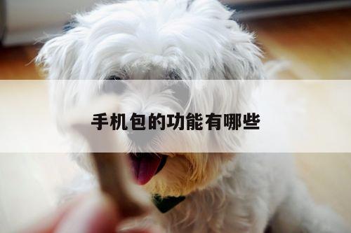 手机包的功能有哪些【凯发k8官网入口】