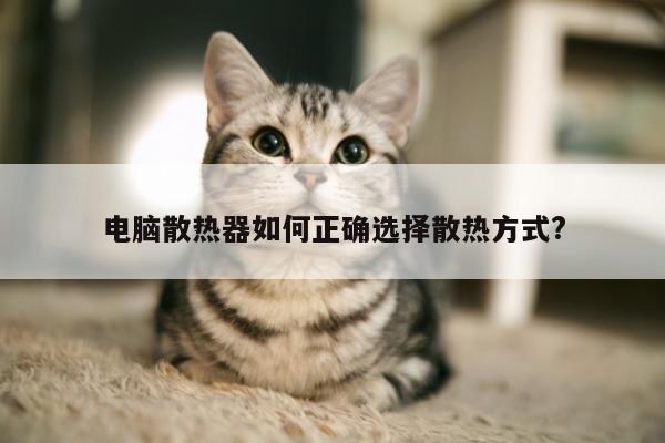 电脑散热器如何正确选择散热方式?_凯发k8官网入口