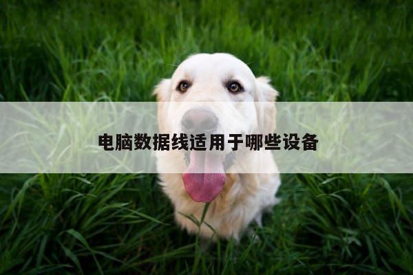 电脑数据线适用于哪些设备_凯发k8官方