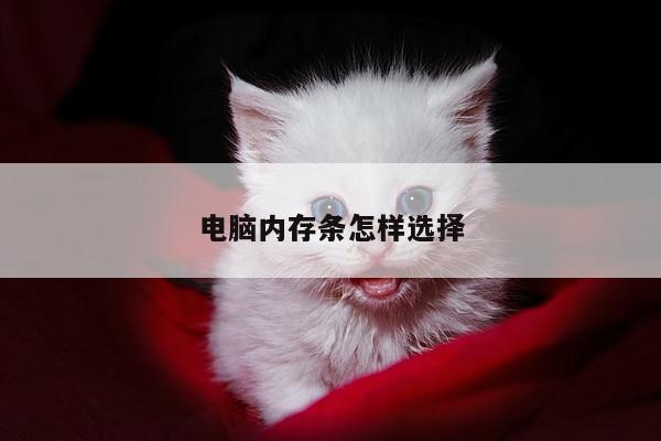 电脑内存条怎样选择_凯发k8官方