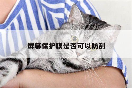 屏幕保护膜是否可以防刮_凯发k8官网入口