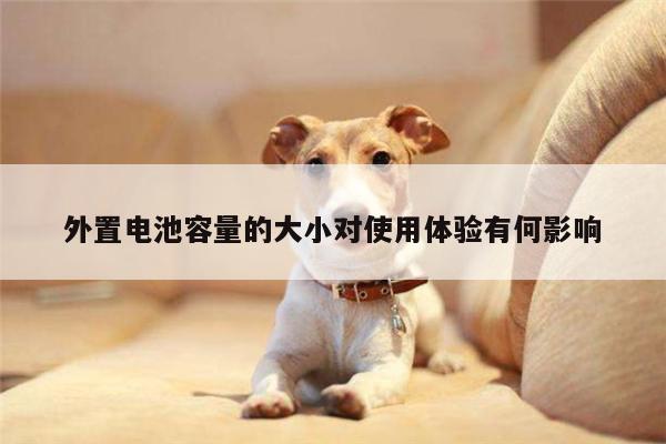凯发网站|外置电池容量的大小对使用体验有何影响