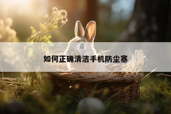 如何正确清洁手机防尘塞【凯发k8官网入口】