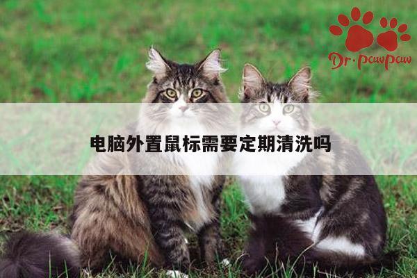 【凯发k8官网入口】电脑外置鼠标需要定期清洗吗
