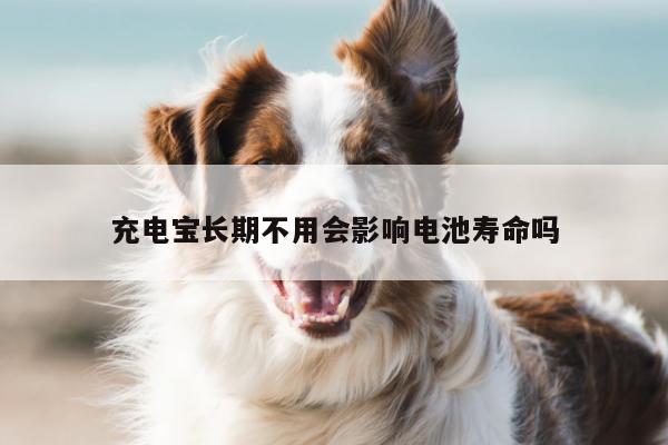 充电宝长期不用会影响电池寿命吗:凯发网站