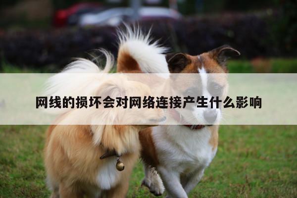 【凯发网站】网线的损坏会对网络连接产生什么影响