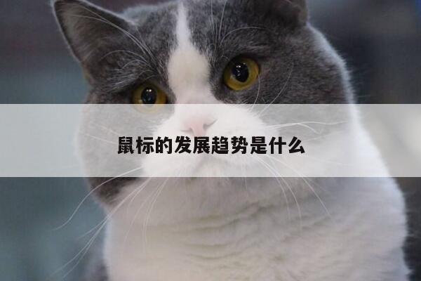 鼠标的发展趋势是什么:凯发k8官网入口