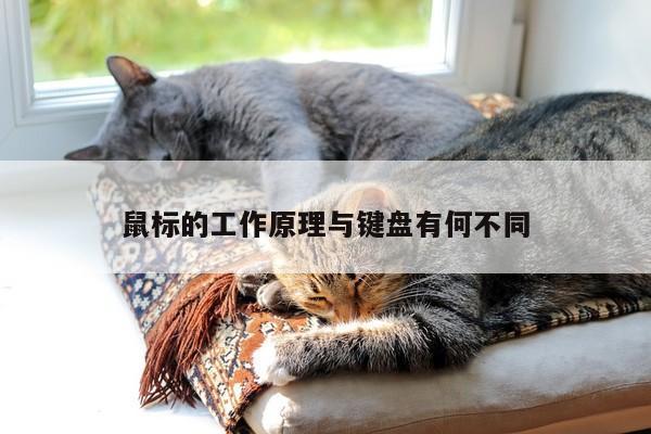 鼠标的工作原理与键盘有何不同-凯发k8官方