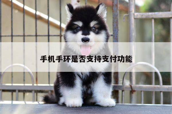 凯发网站|手机手环是否支持支付功能