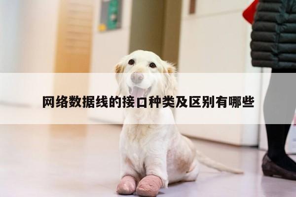 凯发k8官网入口_网络数据线的接口种类及区别有哪些