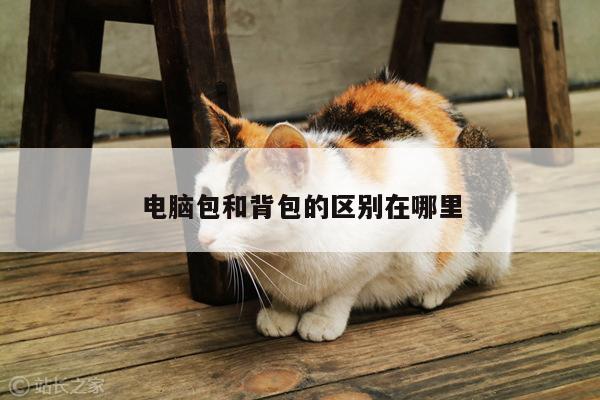 凯发k8官网入口-电脑包和背包的区别在哪里