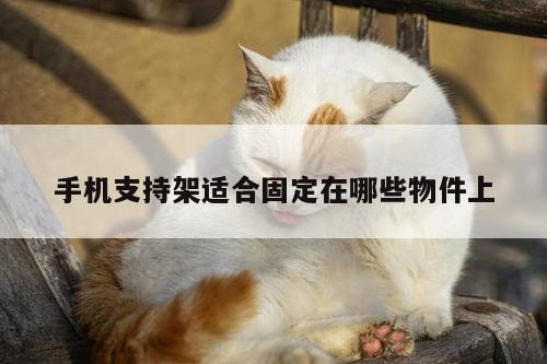 手机支持架适合固定在哪些物件上-凯发k8官方