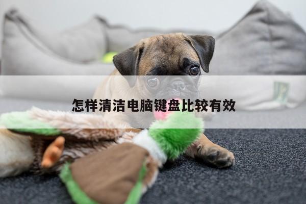 怎样清洁电脑键盘比较有效-凯发k8官网入口
