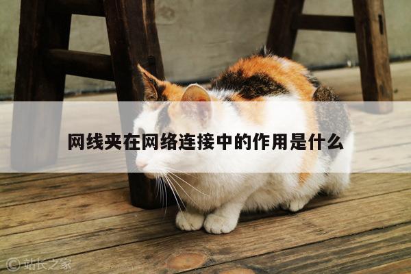 网线夹在网络连接中的作用是什么-凯发k8官方