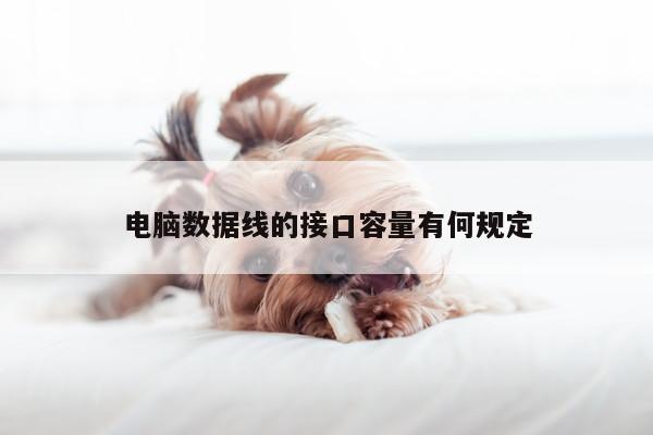 凯发k8官网入口:电脑数据线的接口容量有何规定