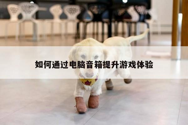 如何通过电脑音箱提升游戏体验|凯发网站