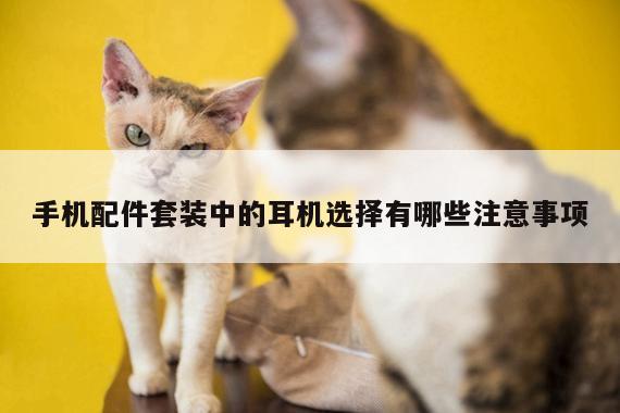 凯发网站_手机配件套装中的耳机选择有哪些注意事项