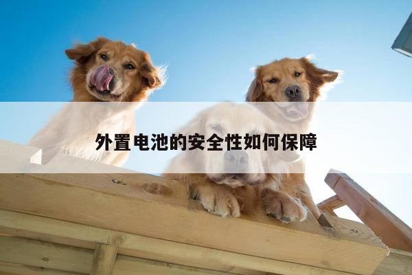 外置电池的安全性如何保障【凯发k8官方】