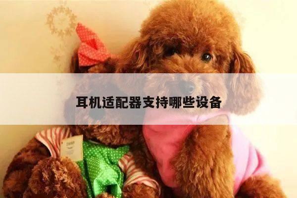 凯发网站:耳机适配器支持哪些设备