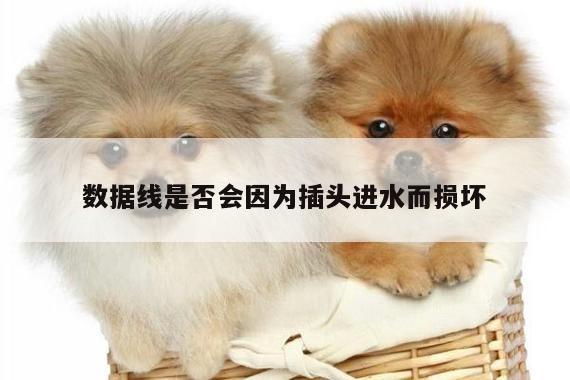 凯发网站-数据线是否会因为插头进水而损坏