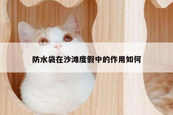 凯发k8官网入口-防水袋在沙滩度假中的作用如何